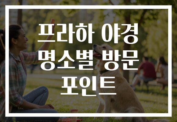 프라하 야경 명소별 방문 포인트