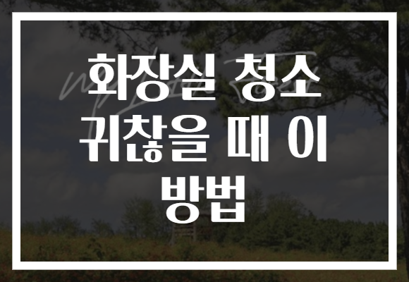 화장실 청소 귀찮을 때 이 방법