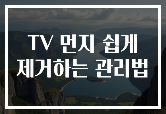 TV 먼지 쉽게 제거하는 관리법