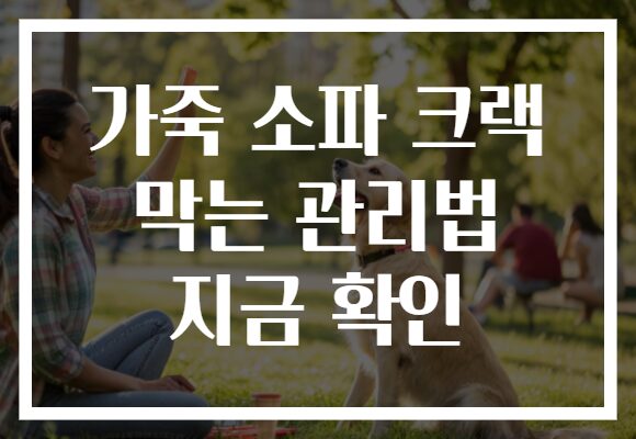 가죽 소파 크랙 막는 관리법 지금 확인