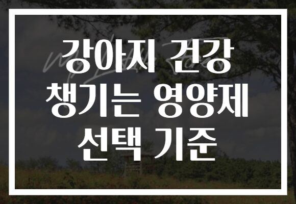 강아지 건강 챙기는 영양제 선택 기준