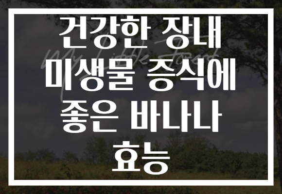 건강한 장내 미생물 증식에 좋은 바나나 효능