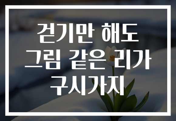 걷기만 해도 그림 같은 리가 구시가지