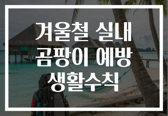 겨울철 실내 곰팡이 예방 생활수칙