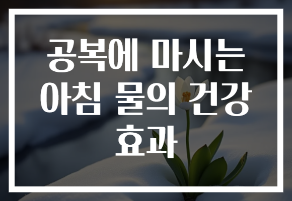 공복에 마시는 아침 물의 건강 효과