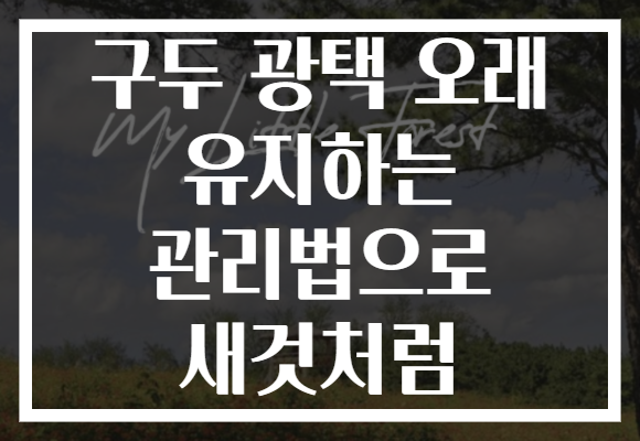 구두 광택 오래 유지하는 관리법으로 새것처럼