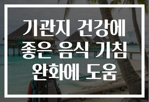 기관지 건강에 좋은 음식 기침 완화에 도움