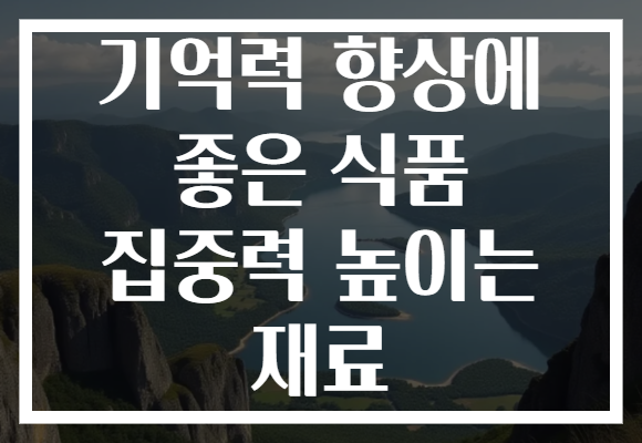 기억력 향상에 좋은 식품 집중력 높이는 재료