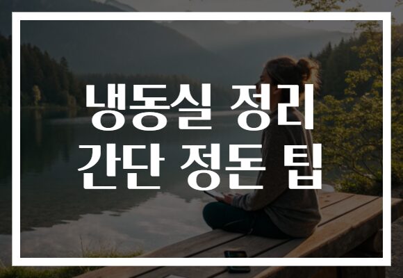 냉동실 정리 간단 정돈 팁