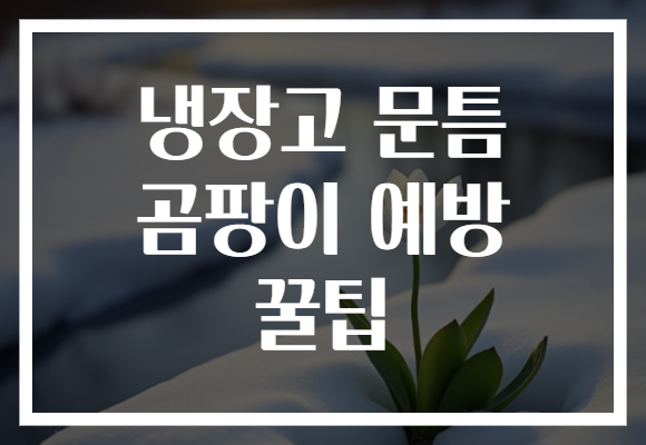 냉장고 문틈 곰팡이 예방 꿀팁