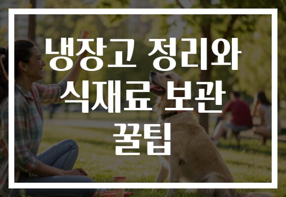 냉장고 정리와 식재료 보관 꿀팁