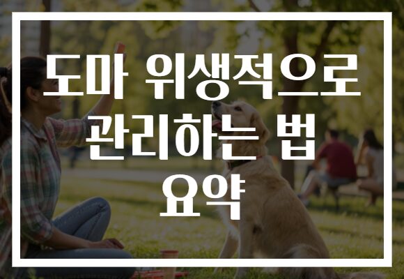 도마 위생적으로 관리하는 법 요약