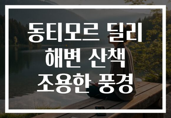 동티모르 딜리 해변 산책 조용한 풍경