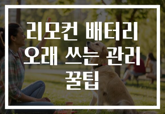 리모컨 배터리 오래 쓰는 관리 꿀팁