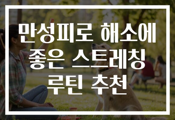 만성피로 해소에 좋은 스트레칭 루틴 추천