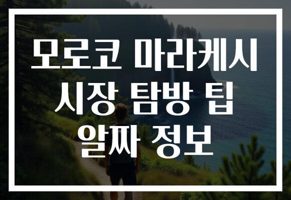 모로코 마라케시 시장 탐방 팁 알짜 정보
