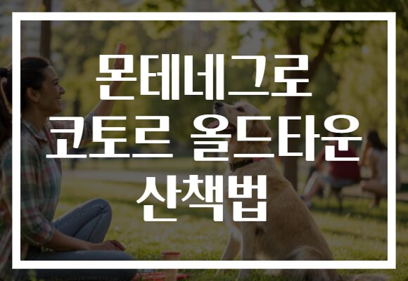 몬테네그로 코토르 올드타운 산책법