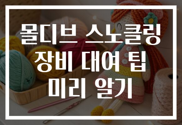 몰디브 스노클링 장비 대여 팁 미리 알기