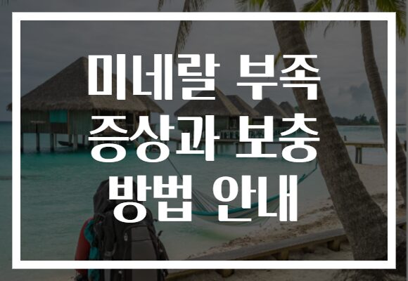 미네랄 부족 증상과 보충 방법 안내