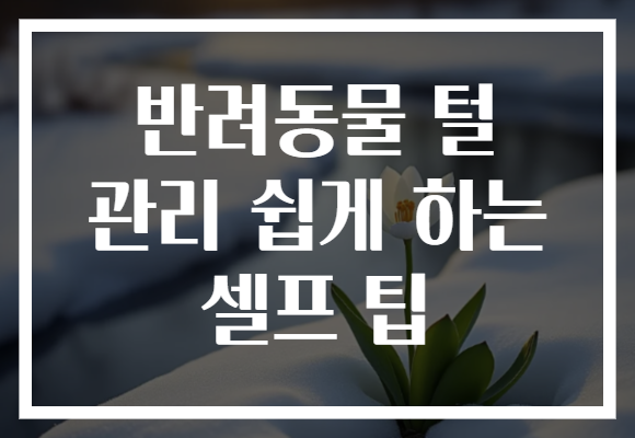 반려동물 털 관리 쉽게 하는 셀프 팁