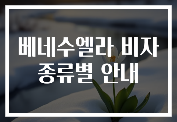 베네수엘라 비자 종류별 안내