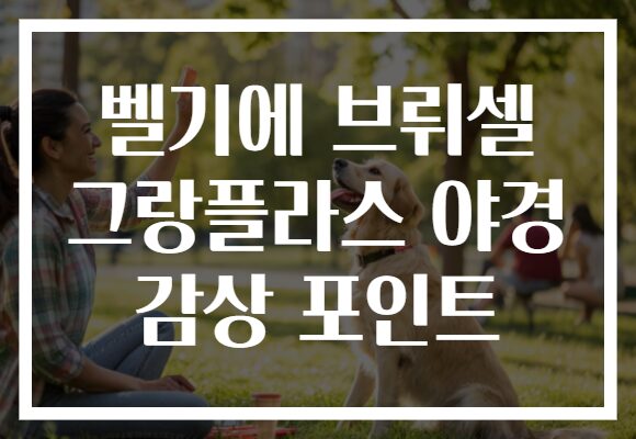 벨기에 브뤼셀 그랑플라스 야경 감상 포인트