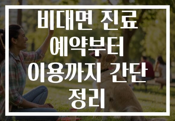 비대면 진료 예약부터 이용까지 간단 정리