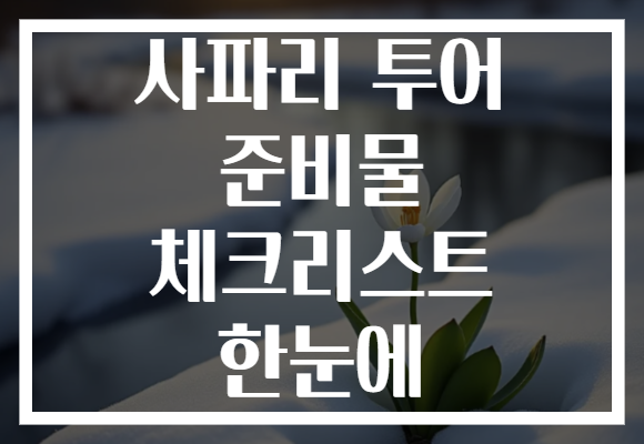 사파리 투어 준비물 체크리스트 한눈에