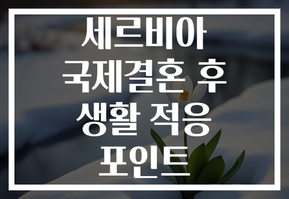 세르비아 국제결혼 후 생활 적응 포인트