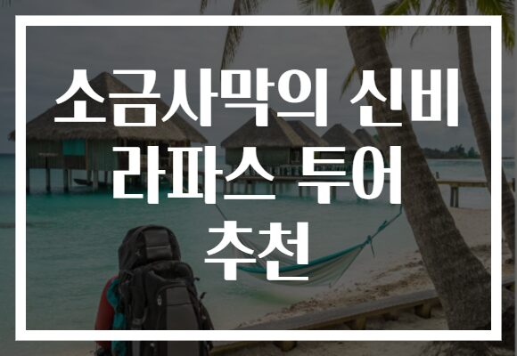 소금사막의 신비 라파스 투어 추천