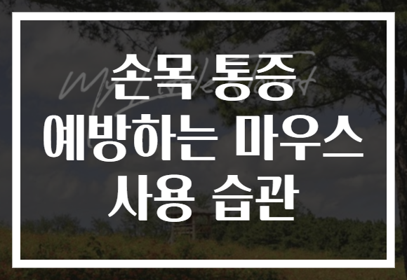 손목 통증 예방하는 마우스 사용 습관
