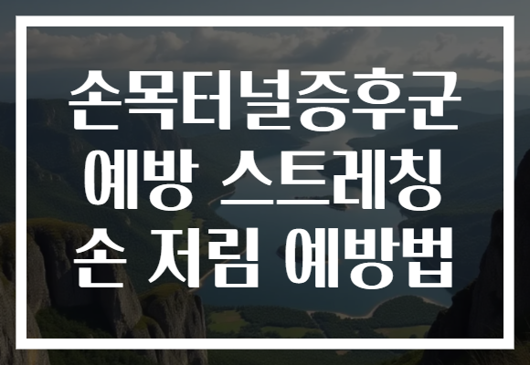 손목터널증후군 예방 스트레칭 손 저림 예방법