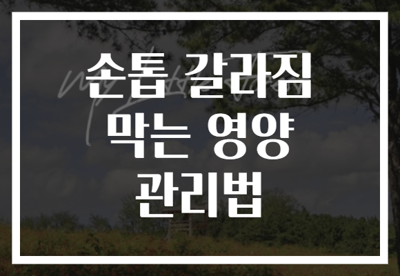 손톱 갈라짐 막는 영양 관리법