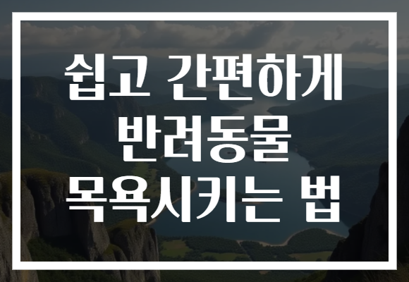 쉽고 간편하게 반려동물 목욕시키는 법