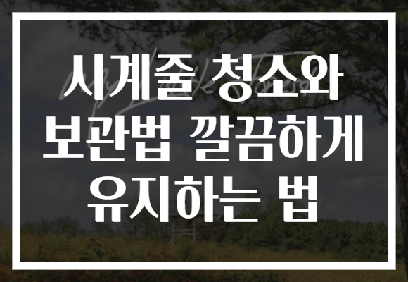 시계줄 청소와 보관법 깔끔하게 유지하는 법