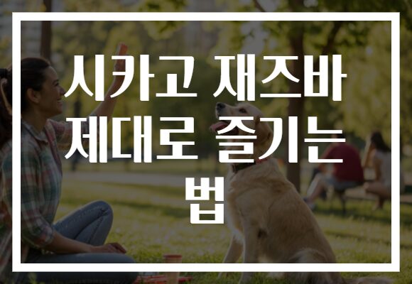 시카고 재즈바 제대로 즐기는 법