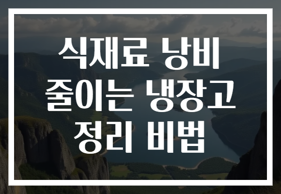 식재료 낭비 줄이는 냉장고 정리 비법