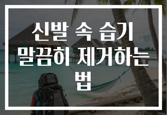 신발 속 습기 말끔히 제거하는 법