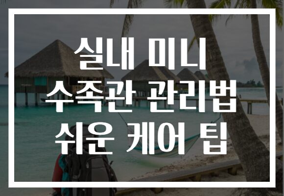 실내 미니 수족관 관리법 쉬운 케어 팁