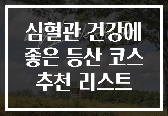 심혈관 건강에 좋은 등산 코스 추천 리스트