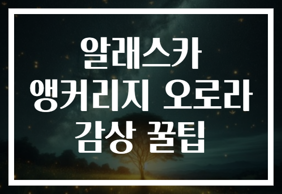 알래스카 앵커리지 오로라 감상 꿀팁