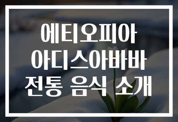 에티오피아 아디스아바바 전통 음식 소개
