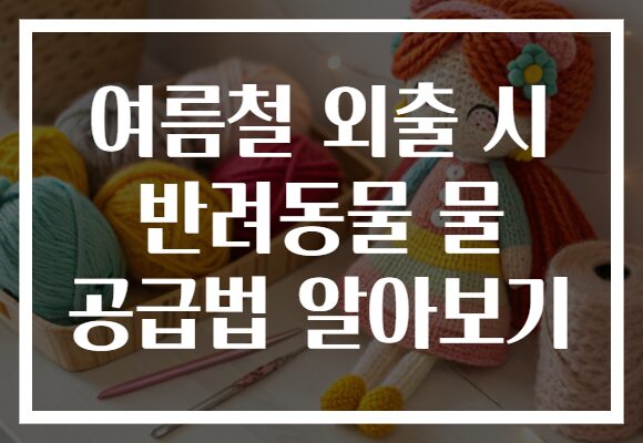 여름철 외출 시 반려동물 물 공급법 알아보기