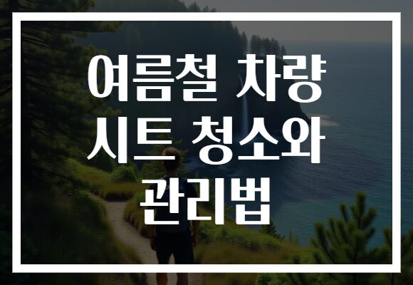 여름철 차량 시트 청소와 관리법