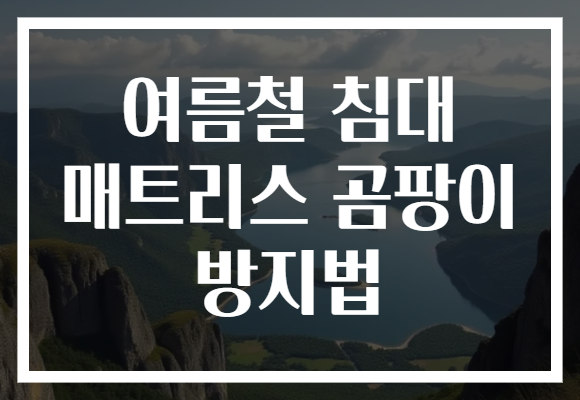 여름철 침대 매트리스 곰팡이 방지법
