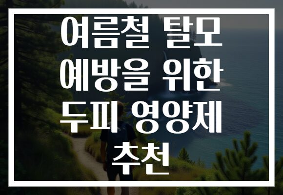 여름철 탈모 예방을 위한 두피 영양제 추천
