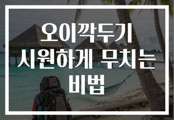오이깍두기 시원하게 무치는 비법