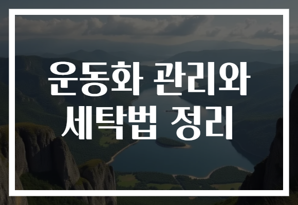 운동화 관리와 세탁법 정리