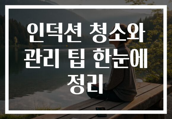 인덕션 청소와 관리 팁 한눈에 정리