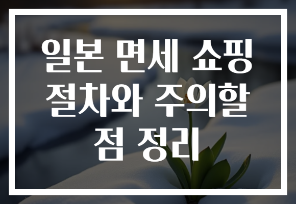 일본 면세 쇼핑 절차와 주의할 점 정리